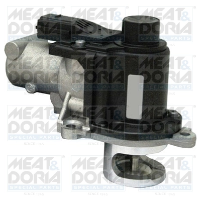 EGR Valve